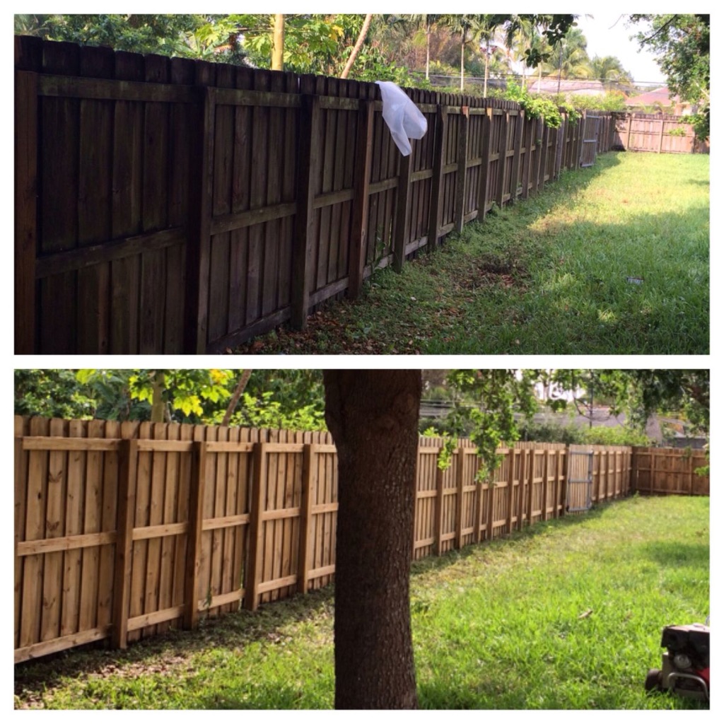 Fence and Deck Cleaning