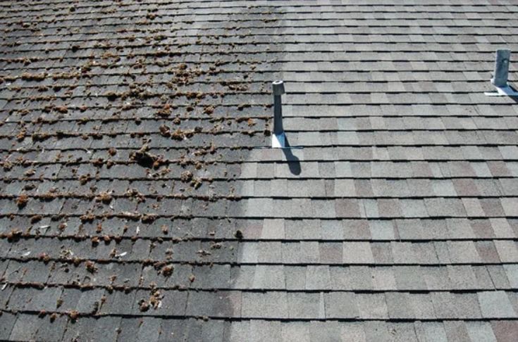 Soft Washing - Roof Cleaning